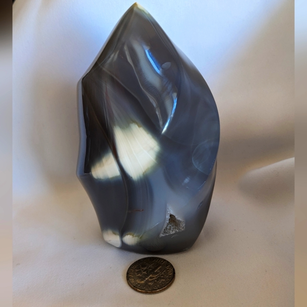 Beautiful Orca Flame